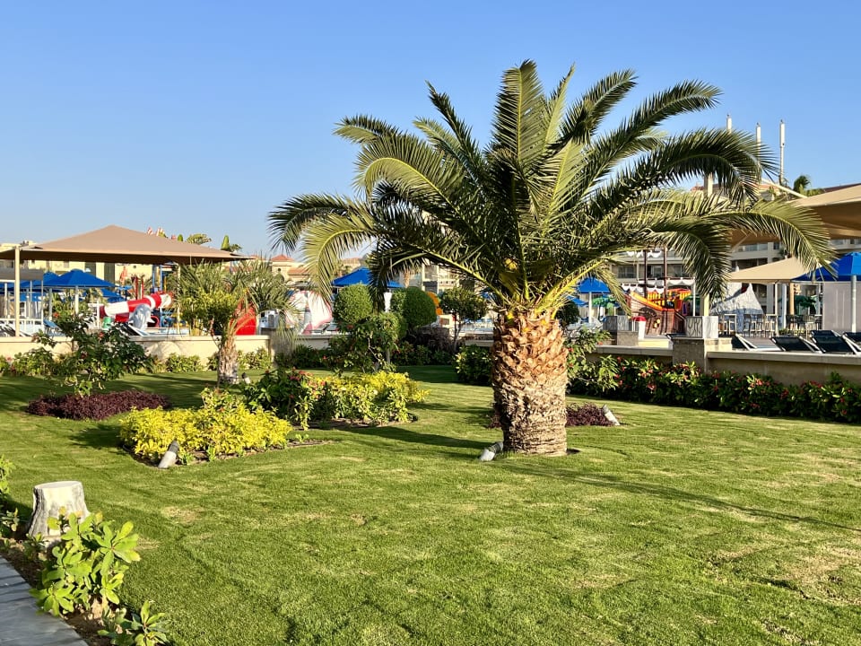 Gartenanlage Pickalbatros White Beach Resort - Hurghada