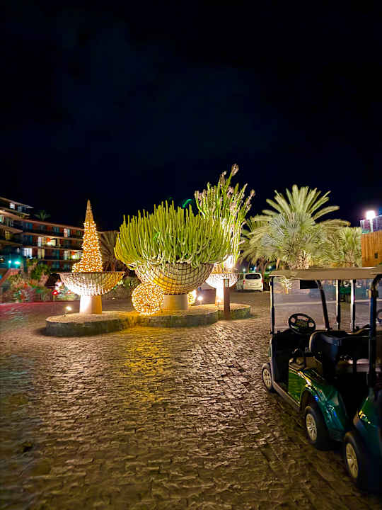 Gartenanlage Salobre Hotel Resort & Serenity