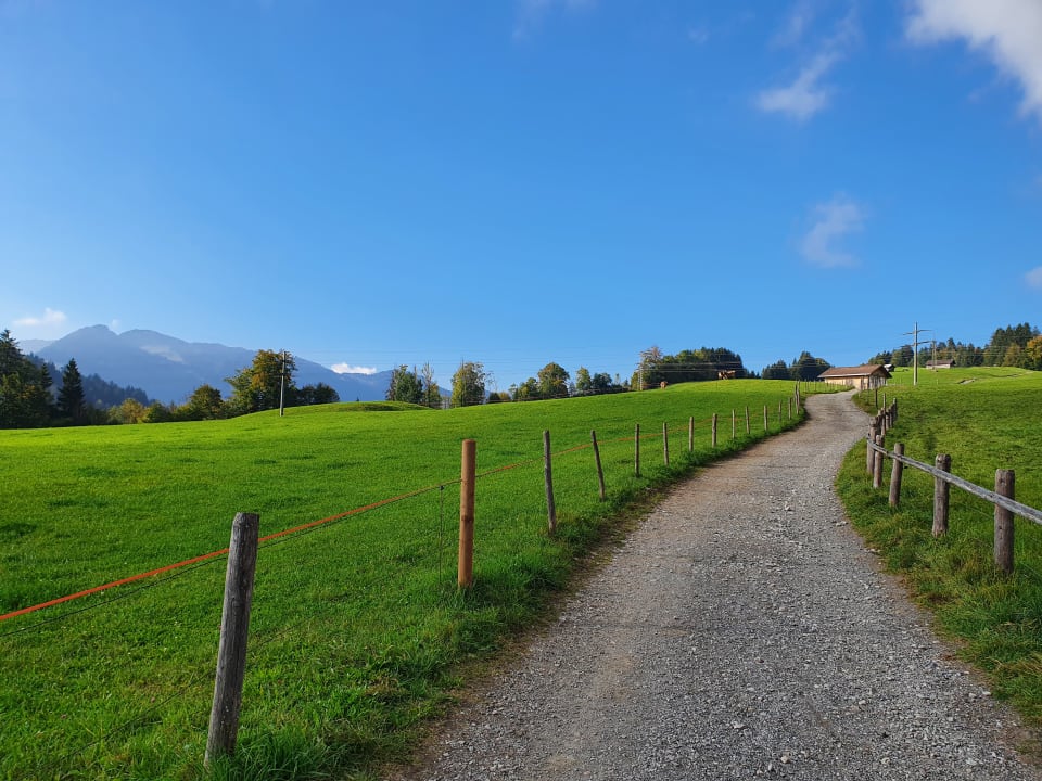Gartenanlage Familien- und Wellnesshotel Viktoria