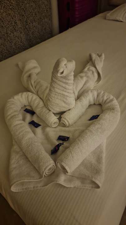 Zimmer Pickalbatros Alf Leila Wa Leila Resort - Neverland Hurghada