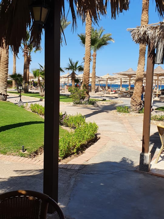 Gartenanlage Jaz Makadi Oasis Resort