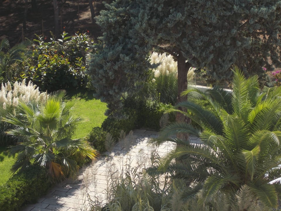 Vom Zimmer gesehen Millor Sol