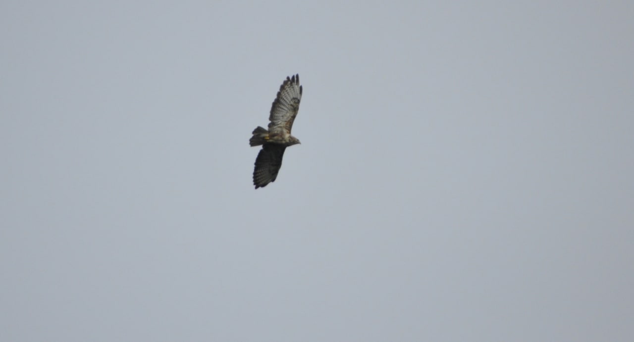 Ausblick Berghotel Hoher Knochen