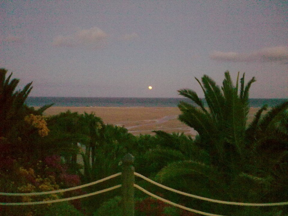 Blick aufs Meer INNSiDE by Melia Fuerteventura - Adults Only