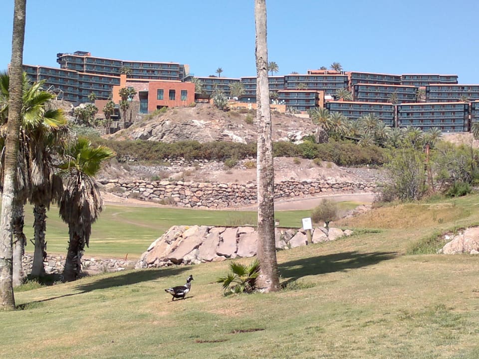 Sheraton @ El Salonre Salobre Hotel Resort & Serenity