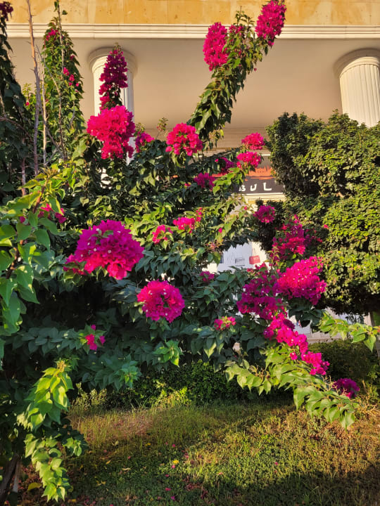 Gartenanlage Side Village Hotel