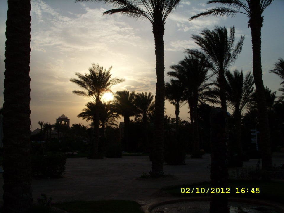 Sonnenuntergang vom Strand Iberotel Makadi Beach