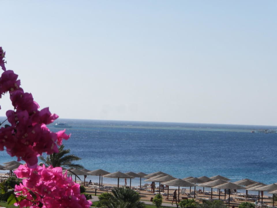 Blick vom Zimmer Fort Arabesque Resort, Spa & Villas