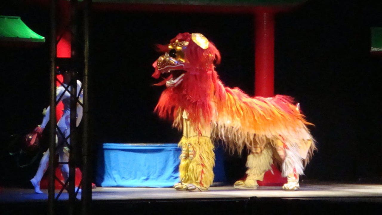 China Time blau punta reina