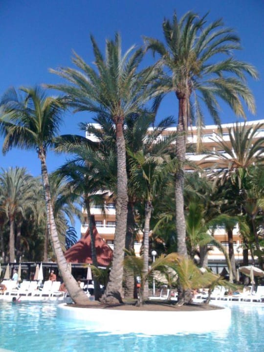 Insel im Pool Hotel Riu Palace Palmeras