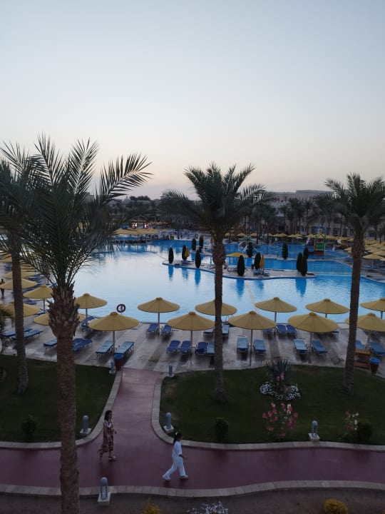 Pool Pickalbatros Palace Resort