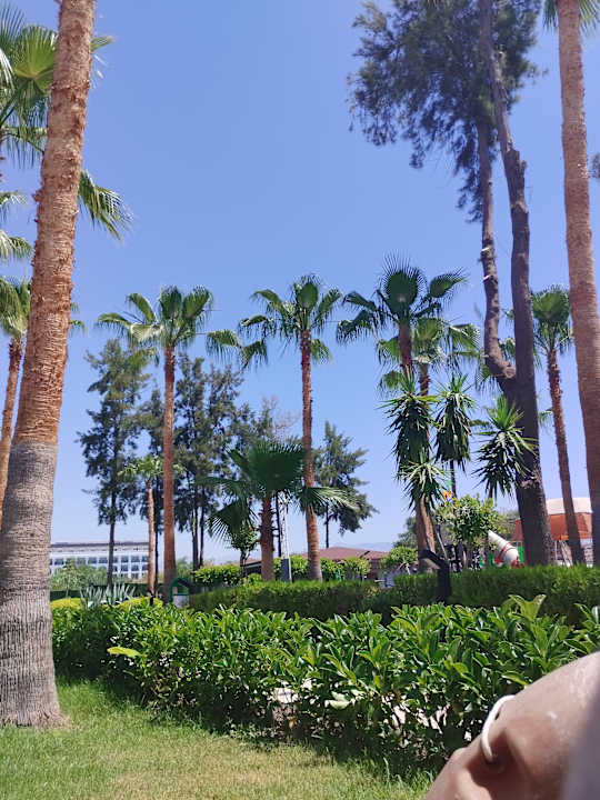 Gastro allsun Numa Club Side