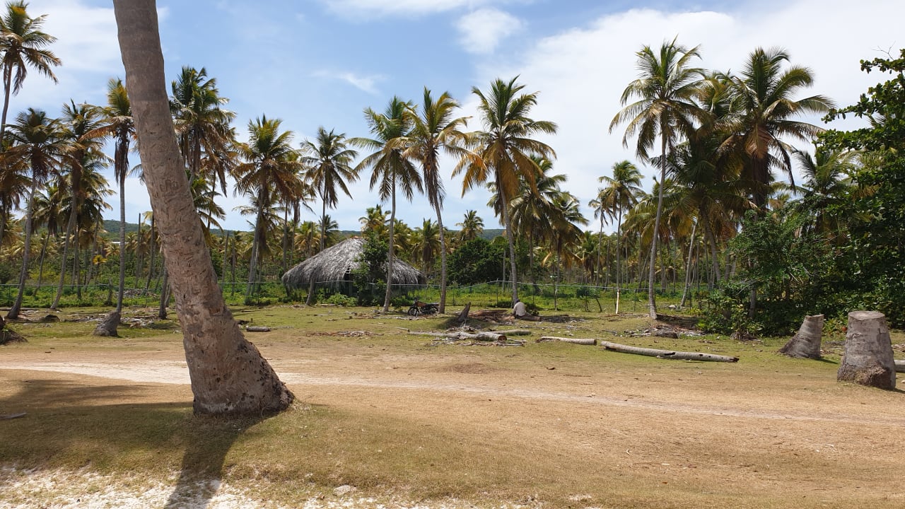 Strand Wyndham Alltra Samana
