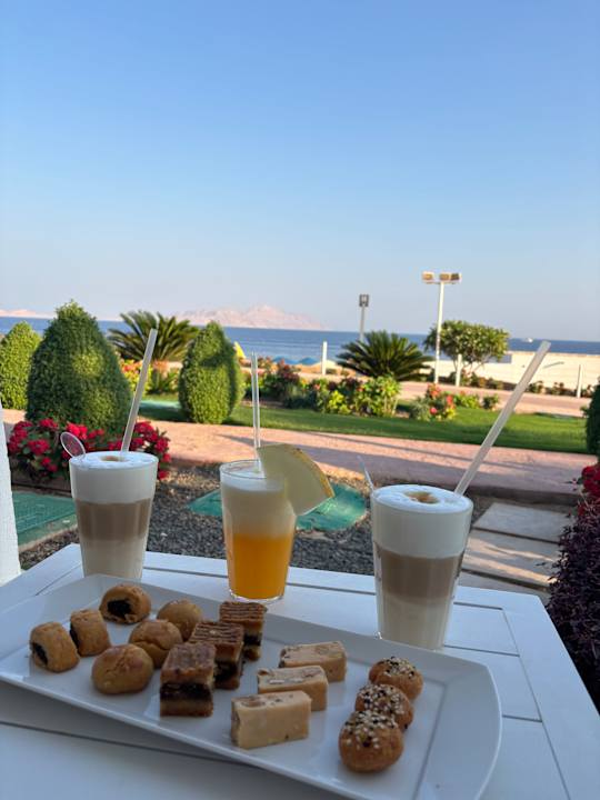 Ausblick Pickalbatros Palace Resort