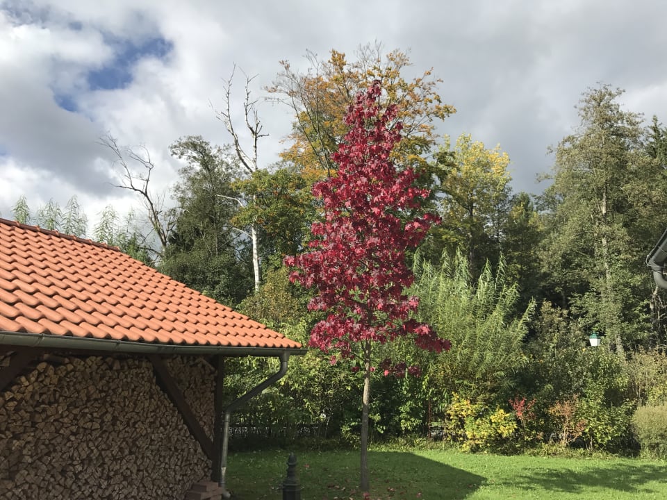 Außenansicht Naturresort & Spa Schindelbruch