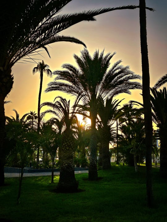 Gartenanlage Hotel Riu Gran Canaria