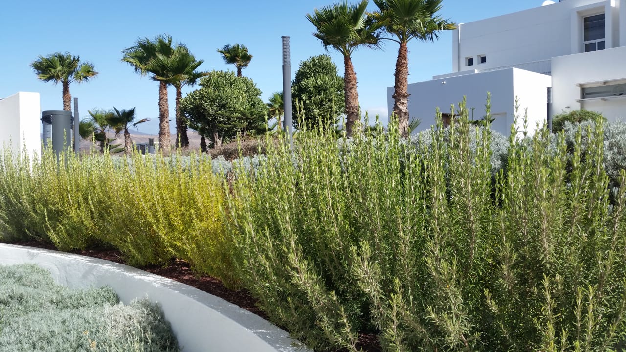 Gartenanlage Sentido Aequora Lanzarote Suite
