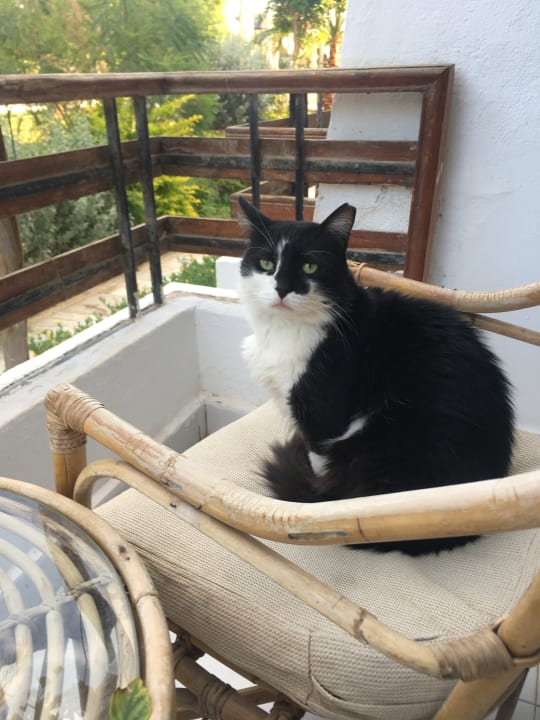 Sonstiges The Grand Hotel Hurghada