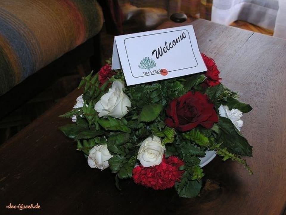 Traveller's Club Hotel Traveller's Club