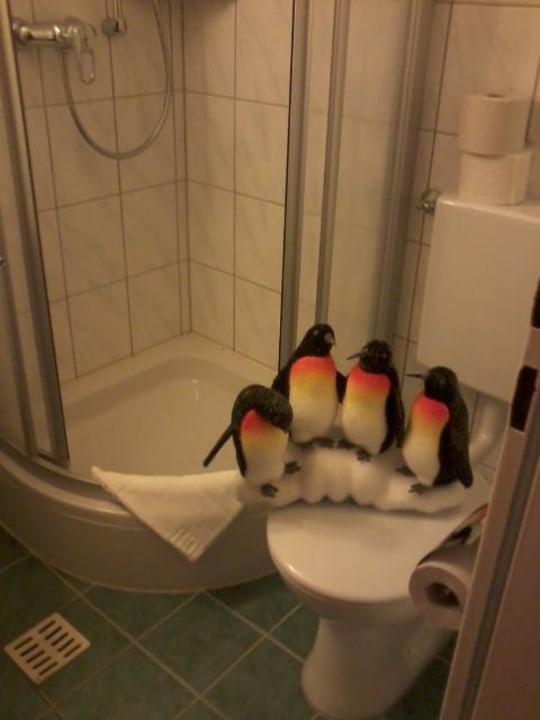 Pinguine in Maierhöfen Ferienclub Maierhöfen