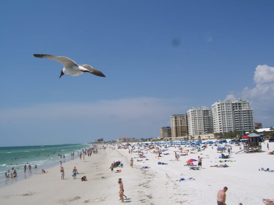 Am Strand von Clearwater Beach Sands Point Motel
