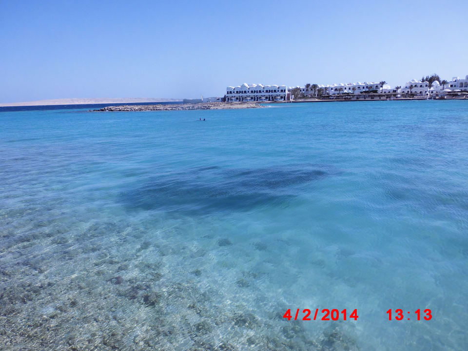 In der Lagune-Fischschwarm Arabia Azur Resort