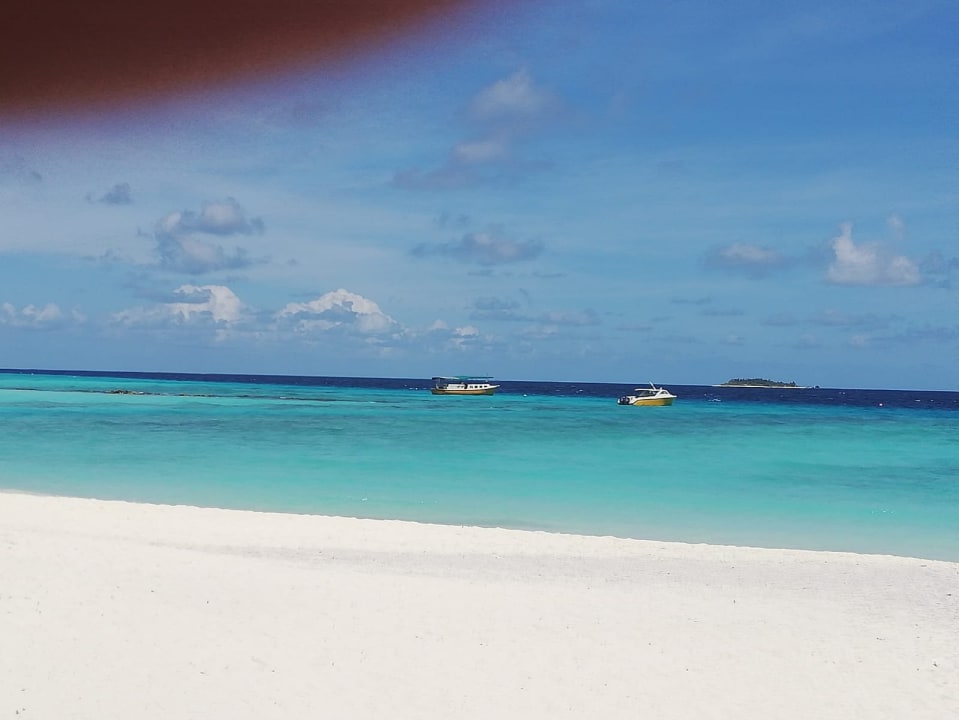 Strand Summer Island Maldives