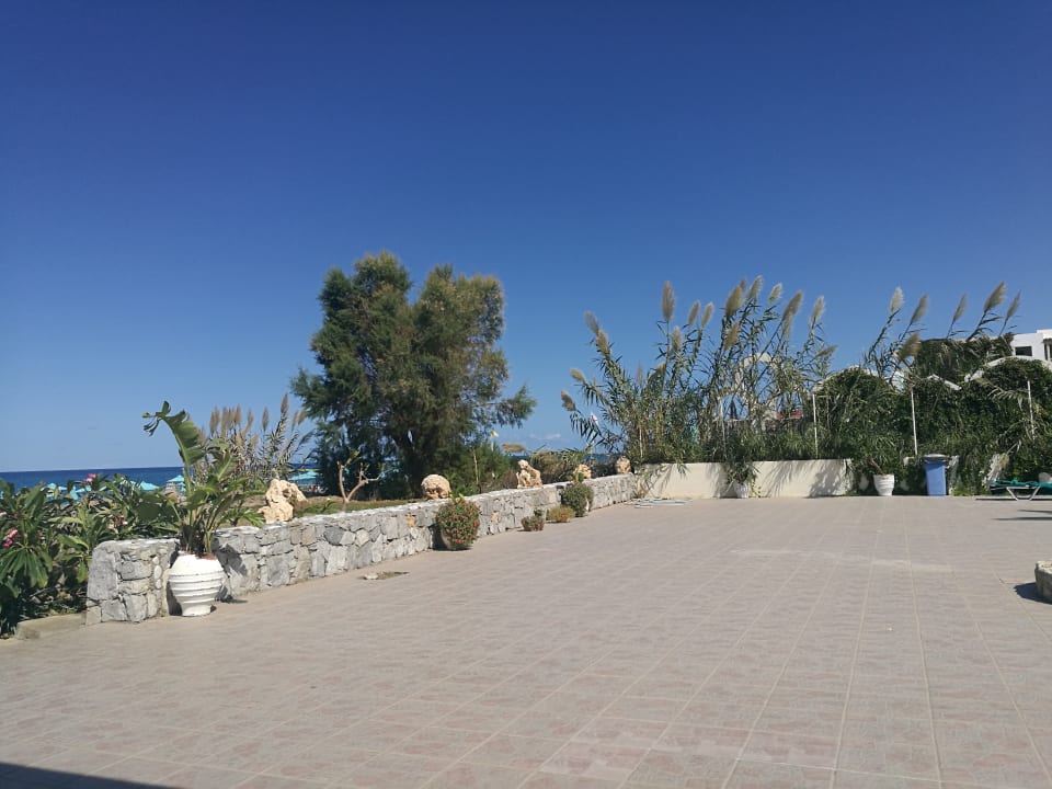 Gartenanlage Hotel Kathrin Beach