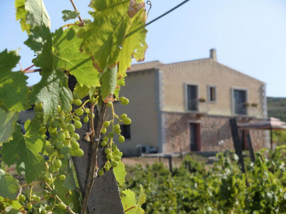 Vista esterna B&B Rurale Surrau