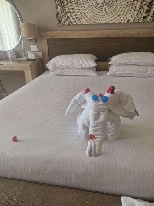 Zimmer Steigenberger Resort Ras Soma