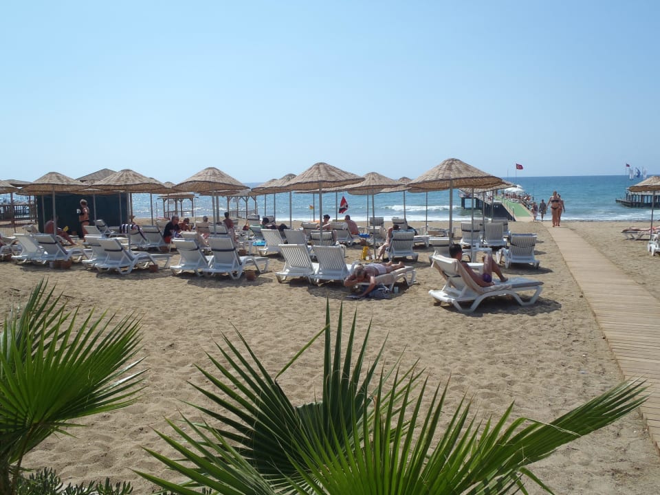 Strand Dizalya Palm Garden