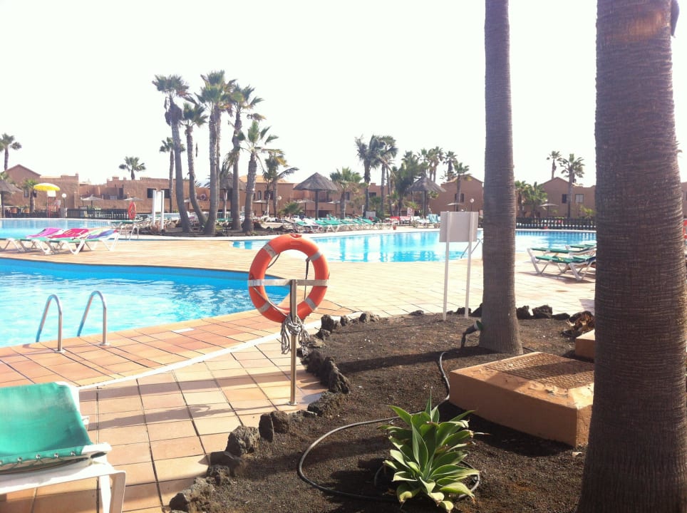 Reservierte,, aber noch leere Liegen Hotel Oasis Dunas