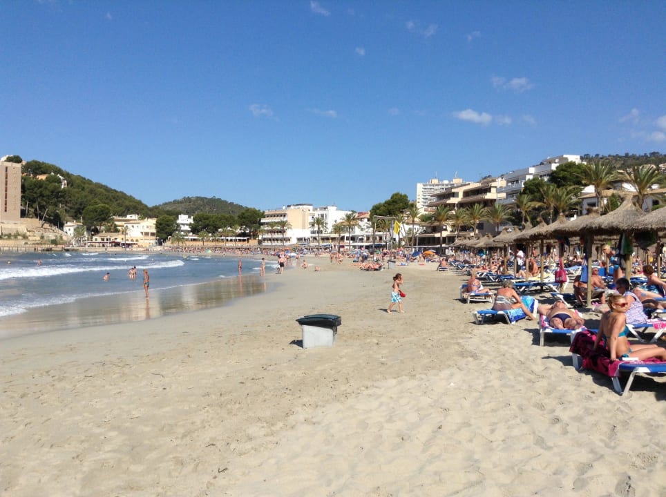 Palmira Strand Paguera Valentin Reina Paguera