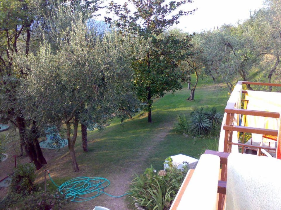 Ausblick in den Garten Hotel Monaco Tiziana