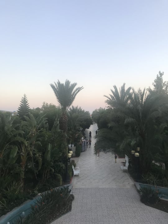 Gartenanlage Hotel Delphin Imperial