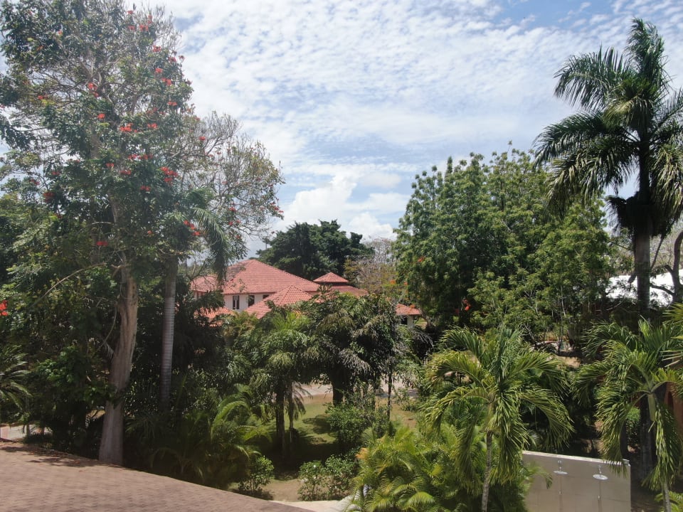 Gartenanlage BelleVue Dominican Bay