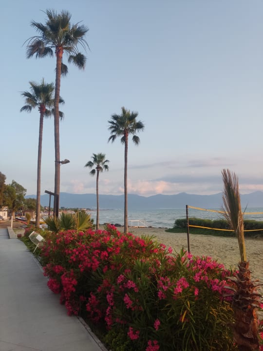 Sport & Freizeit Ephesia Holiday Beach Club