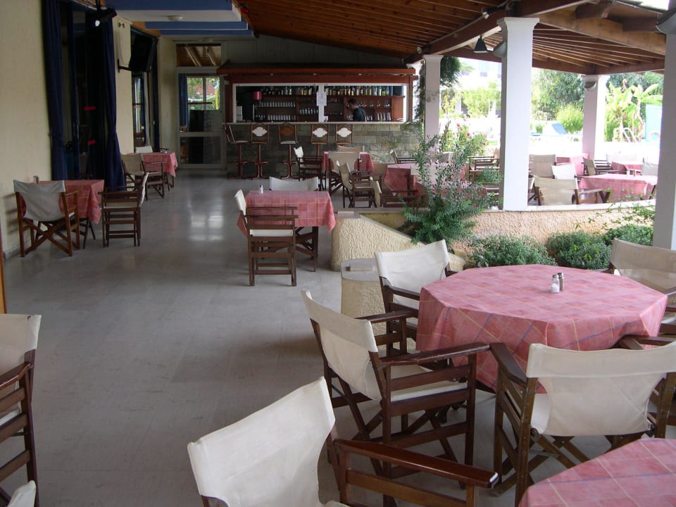 Außenterrasse mit Bar Hotel Albatros