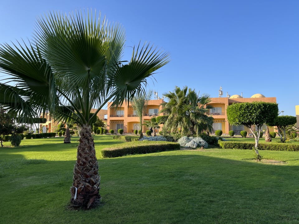 Gartenanlage Wadi Lahmy Azur Resort