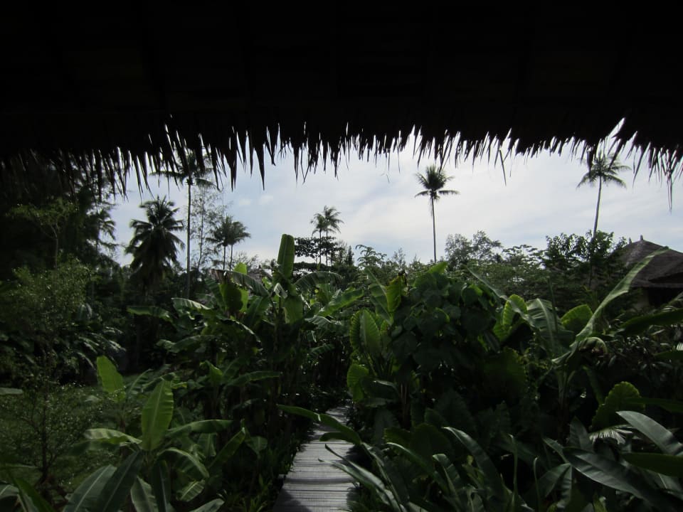 Voll begrünt  Bangsak Village