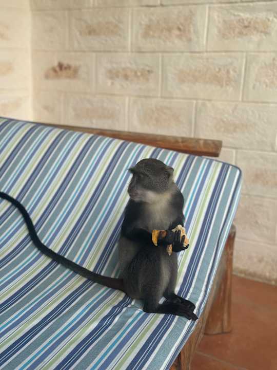 Sonstiges Baobab Beach Resort & Spa