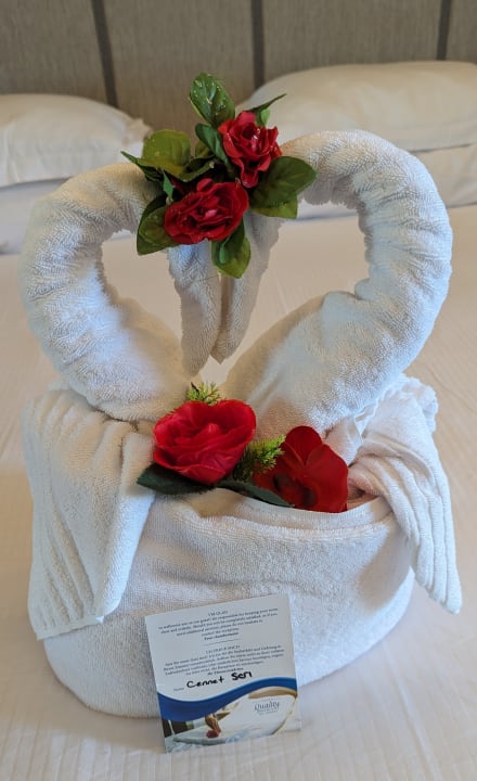 Zimmer Seaden Quality Resort & Spa