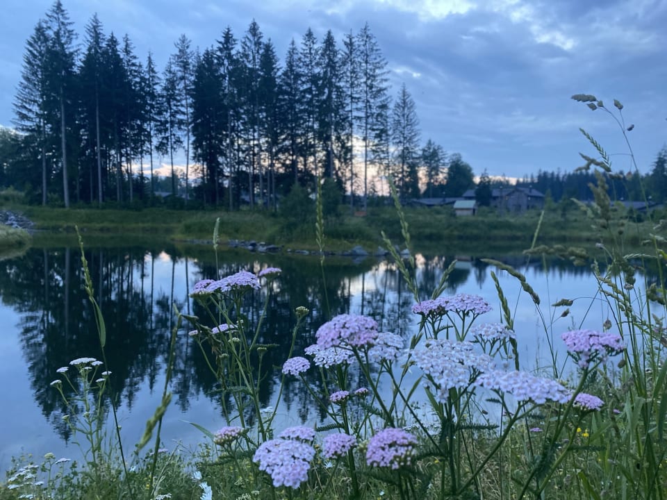 Ausblick Center Parcs Park Allgäu