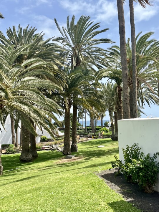 Ausblick Hotel Riu Paraiso Lanzarote