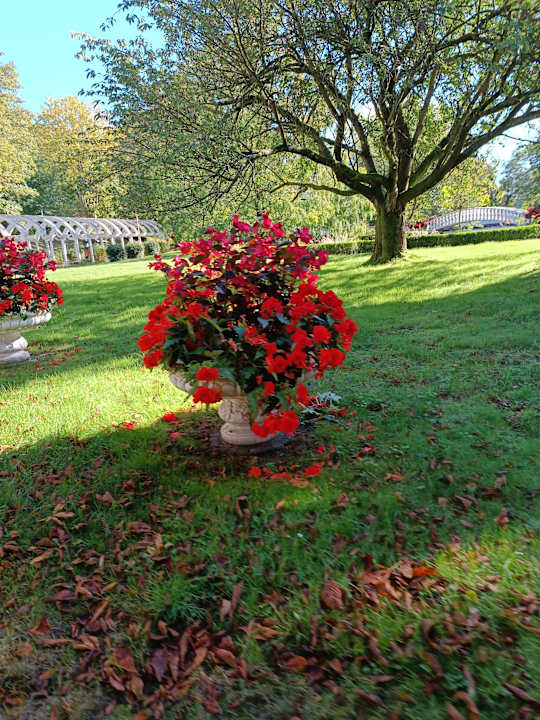 Gartenanlage Heide Park Abenteuerhotel