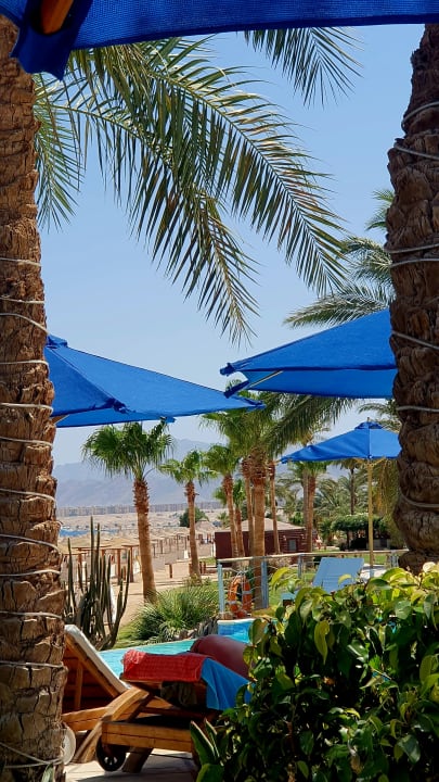 Gartenanlage Shams Prestige Abu Soma-Adults Only