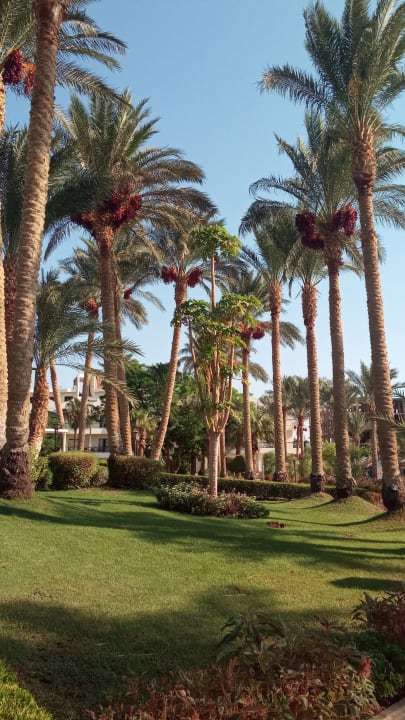 Gartenanlage Regina Resort and Aqua Park Hurghada