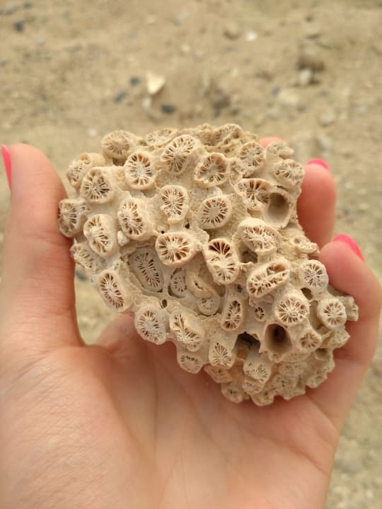 Plaża Three Corners Equinox Beach Resort