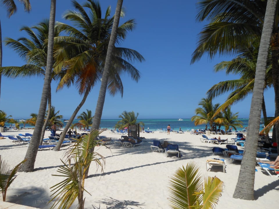 Einfach nur schön.. Villas Bavaro Resort & Spa