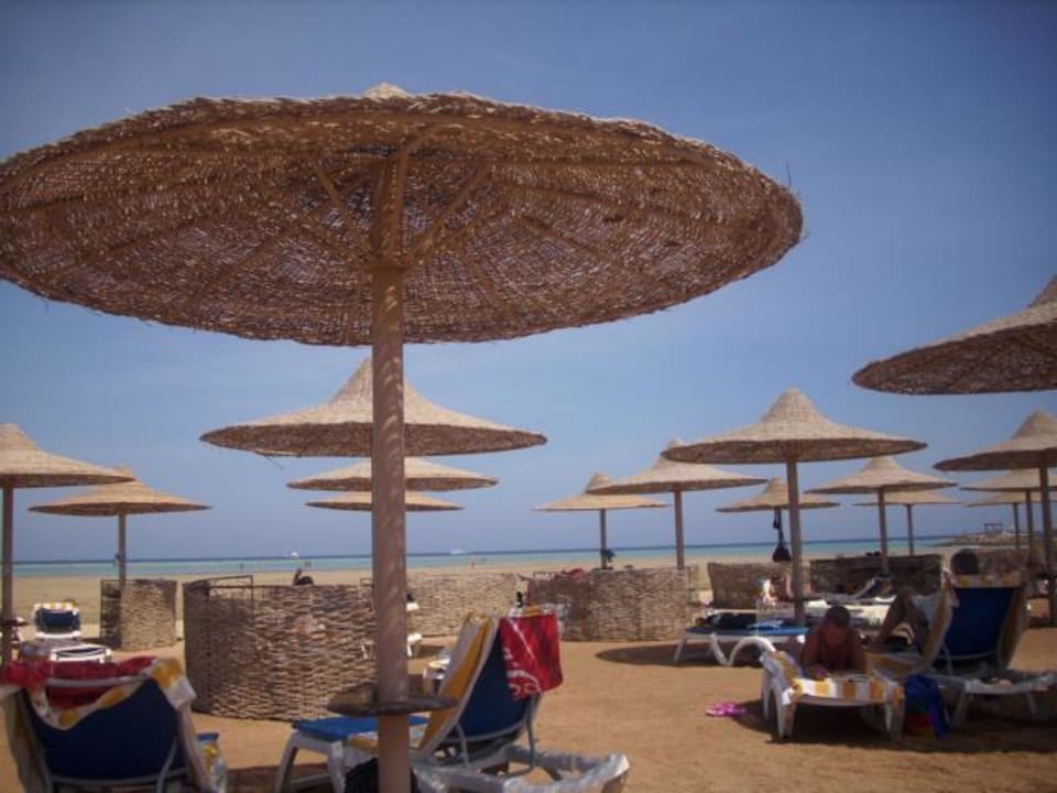 Unsere Strandliegen Stella Beach Resort & Spa Makadi Bay